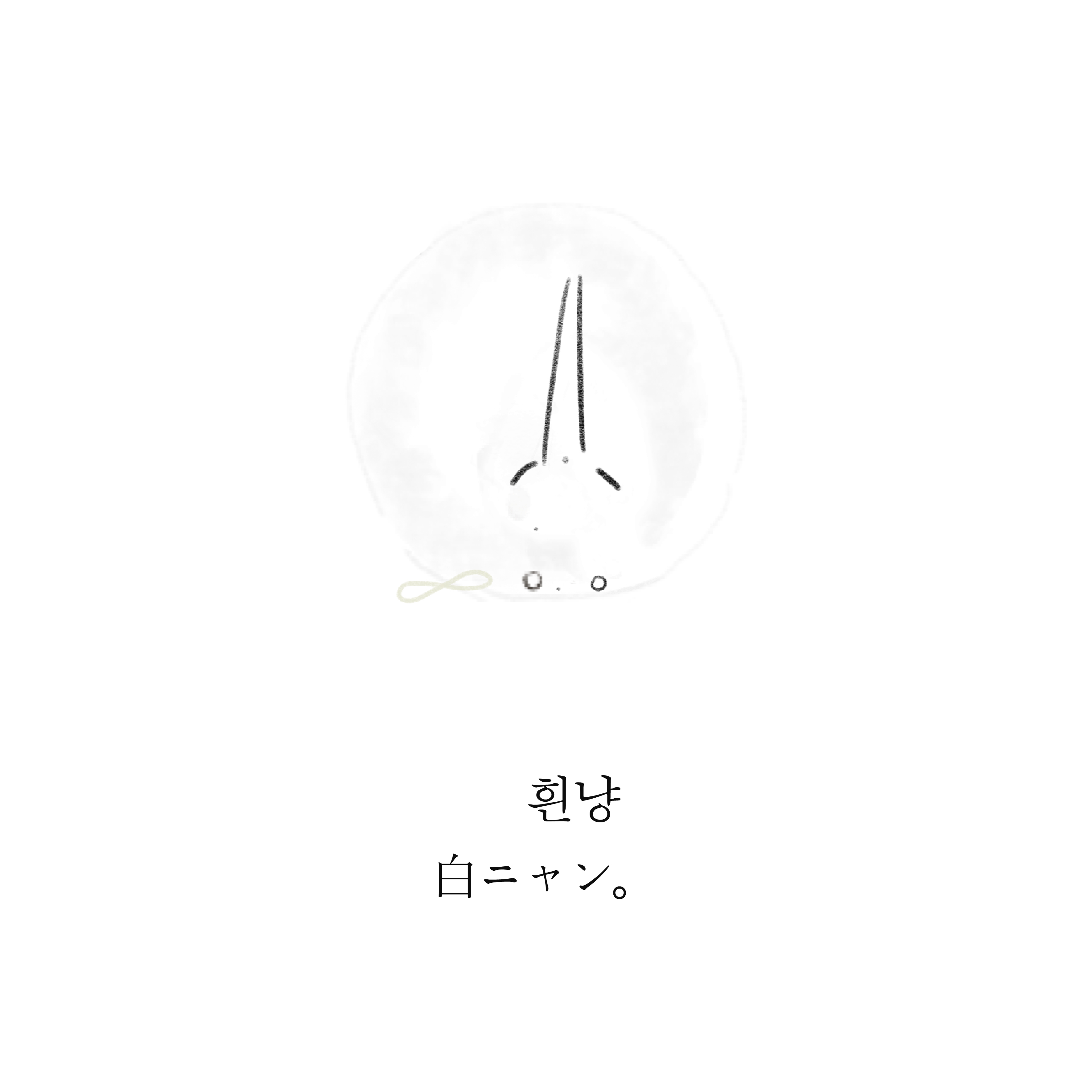 브랜드 메인 이미지